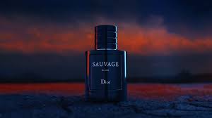 Sauvage Dior Elixir